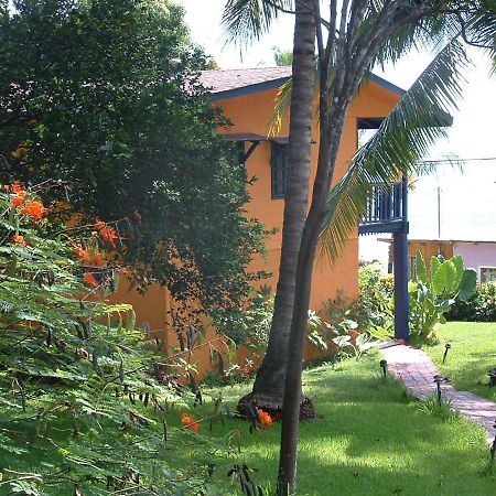 Hotel Los Mangos モンテスマ エクステリア 写真