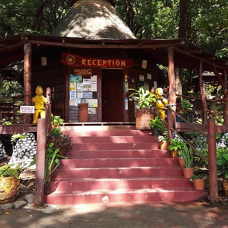 Hotel Los Mangos モンテスマ エクステリア 写真