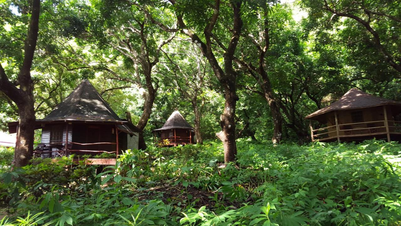 Hotel Los Mangos モンテスマ エクステリア 写真