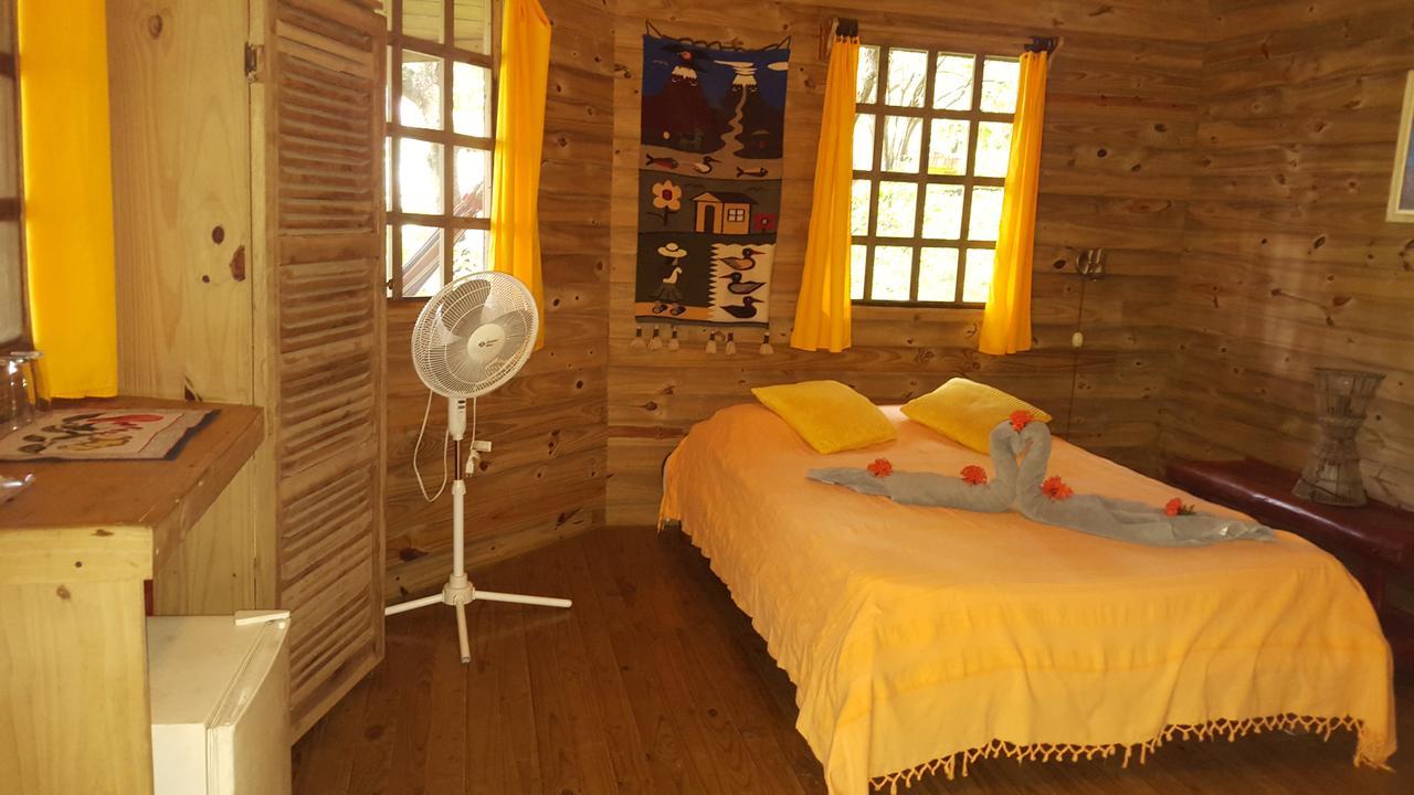 Hotel Los Mangos モンテスマ エクステリア 写真