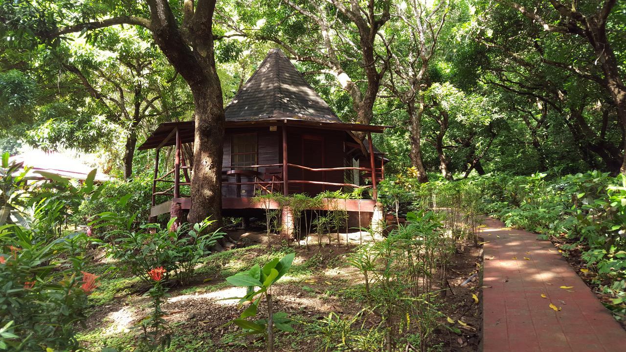 Hotel Los Mangos モンテスマ エクステリア 写真