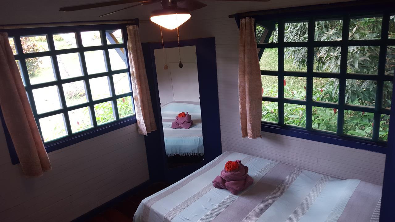 Hotel Los Mangos モンテスマ エクステリア 写真
