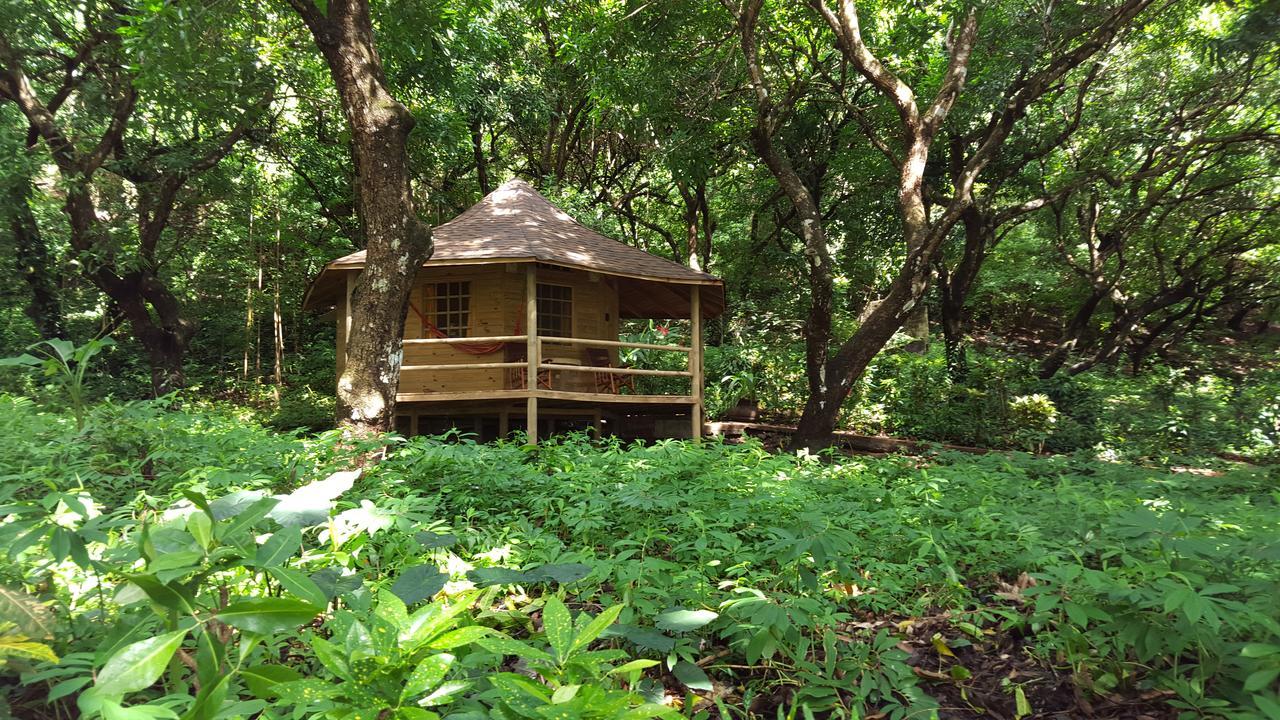 Hotel Los Mangos モンテスマ エクステリア 写真