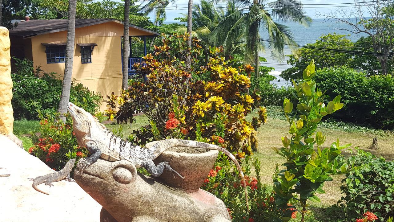 Hotel Los Mangos モンテスマ エクステリア 写真
