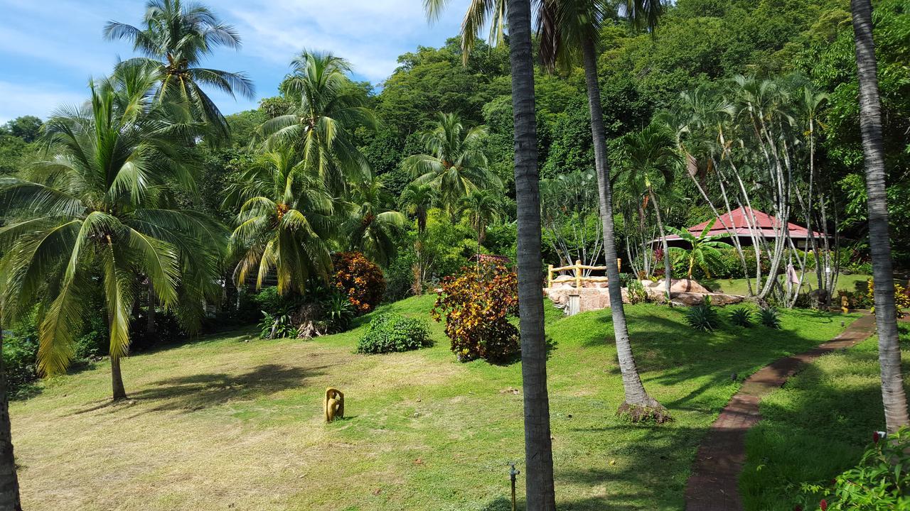 Hotel Los Mangos モンテスマ エクステリア 写真