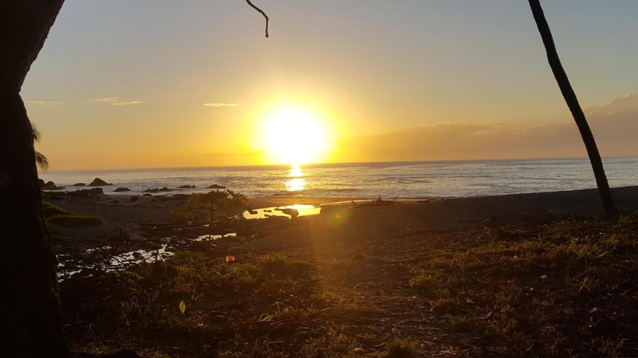 Hotel Los Mangos モンテスマ エクステリア 写真