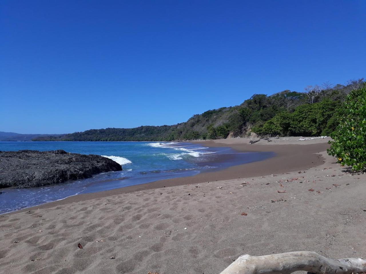 Hotel Los Mangos モンテスマ エクステリア 写真